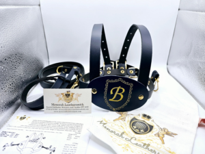Navy leather toddler walking safety reins with Gold embroidery initial monogram